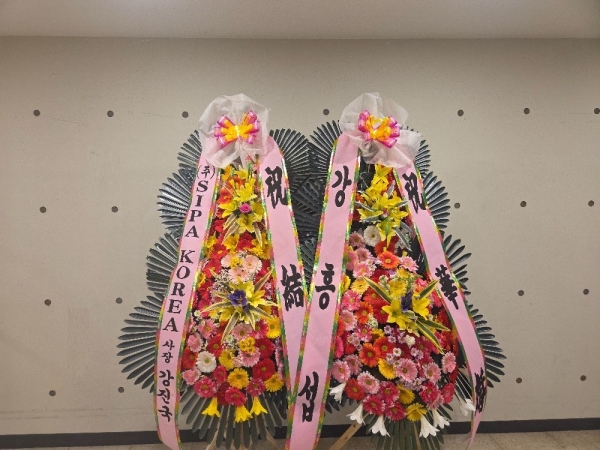 ����3�ܱ⺻ȭȯ �ɹ�� ���� 