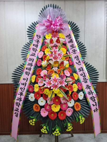 ����3�ܱ⺻ȭȯ �ɹ�� ���� 