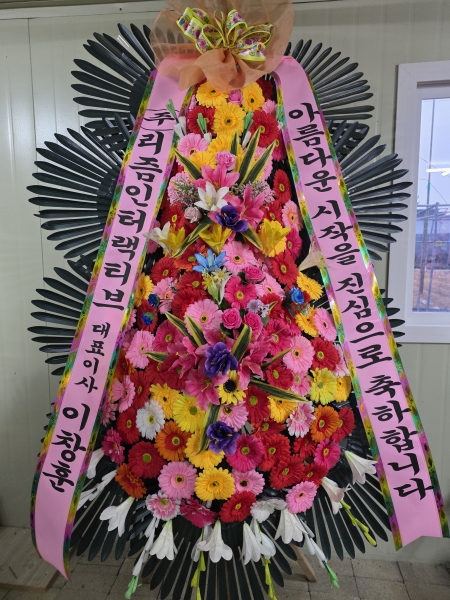 ����3�ܱ⺻ȭȯ �ɹ�� ���� 