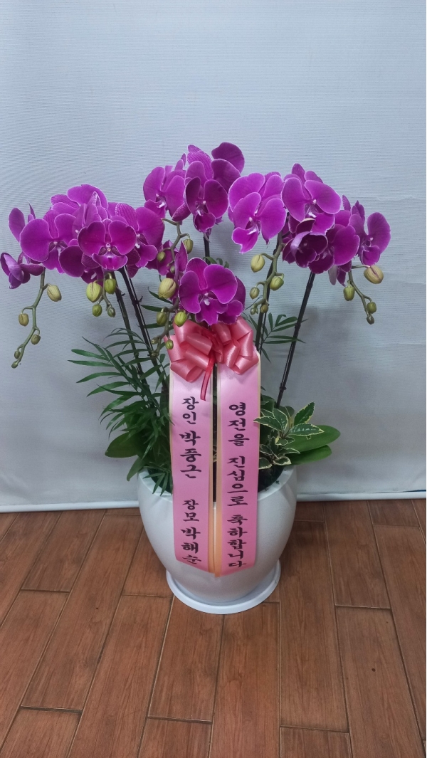 Office&Nature - ���� ȭ�⿡ ���� ��ũȣ��