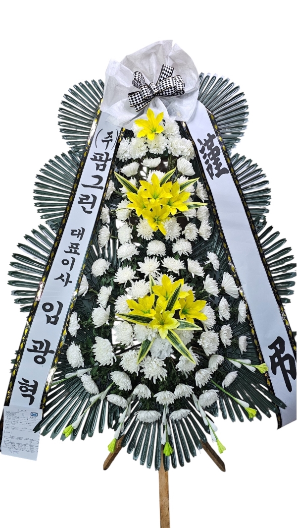 ������ ���� ���� 3�� ȭȯ �ɹ�� ���� 