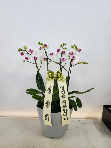 ������ ������ ���, ������ ������ ���� ���� ��� ȣ���� �ɹ�� ���� 