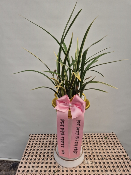 [�λ��̵� ��õ] ���� ���� �Ǿ��ִ� ����� �ɹ�� ���� 