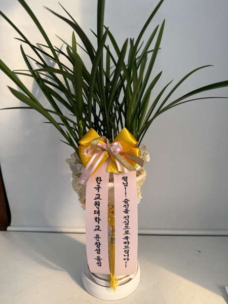 [�λ��̵� ��õ] ���� ���� �Ǿ��ִ� ����� �ɹ�� ���� 