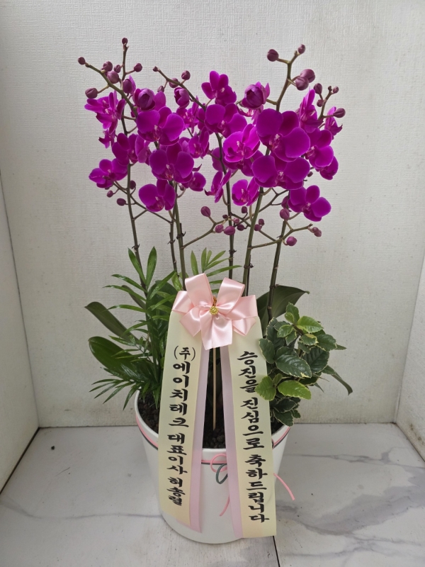 [����]��Ȱ������ ȭ���ϰ� - ��õȫ (��)(ȭ�⺯��) �ɹ�� ���� 