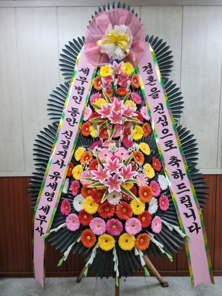 ����3�ܱ⺻ȭȯ �ɹ�� ���� 