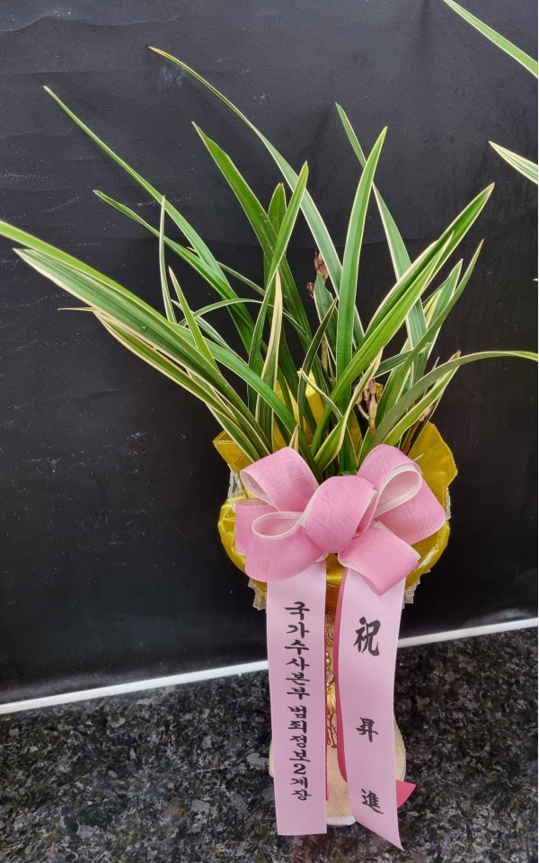 [�λ��̵� ��õ] �Ͼ���� �Ǿ�� ���� ����� �ɹ�� ���� 