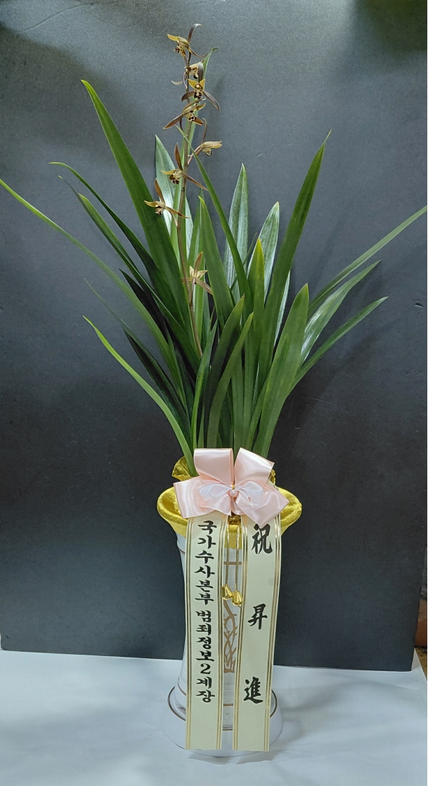 [�λ��̵� ��õ] �Ͼ���� �Ǿ�� ���� ����� �ɹ�� ���� 