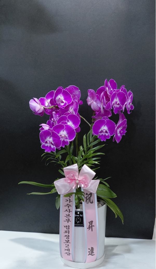 ���� ���� ���� ����, ��ũ ȣ���� �ɹ�� ���� 