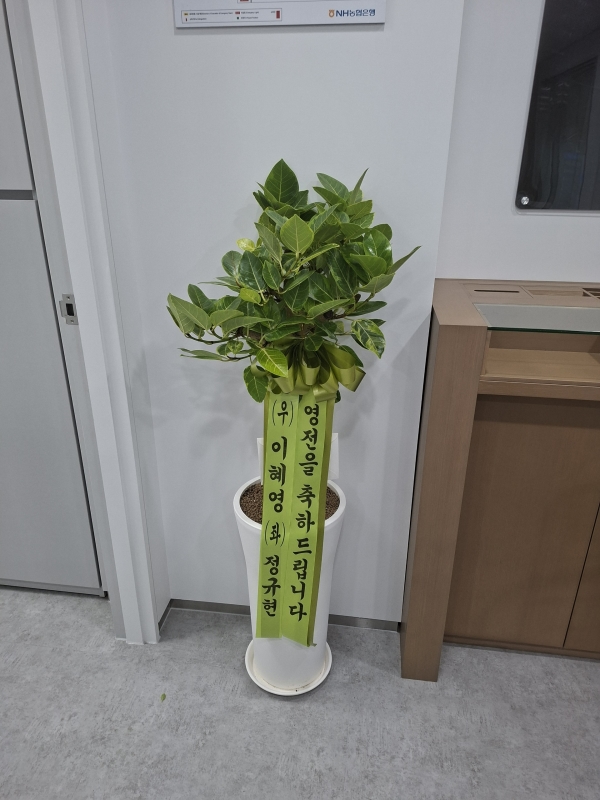 Office & nature �𰥰�������(��) (ȭ�⺯��) �ɹ�� ���� 