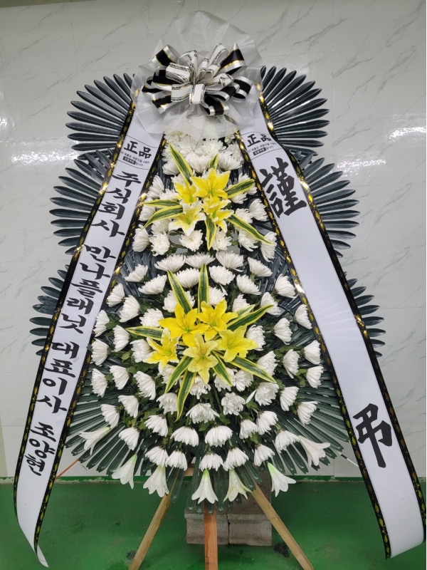 ô  ǰ! - ö119 3ܱ⺻ȭȯ  (Ʈ) ɹ  