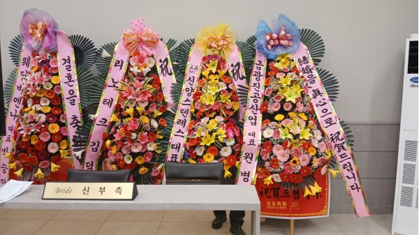 ȥ 3ȭȯ - (3 ⺻)λ  ο.... ɹ  