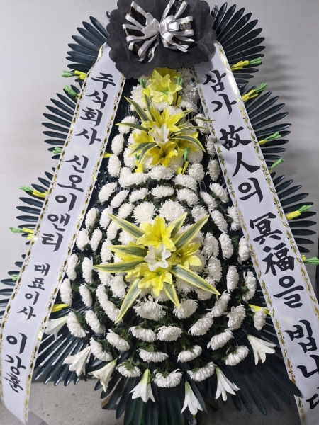  3 ȭȯ (  ) - ﰡ  ..... ɹ  