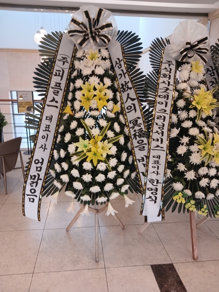 ô  ǰ! - ö119 3ܱ⺻ȭȯ  (Ʈ) ɹ  