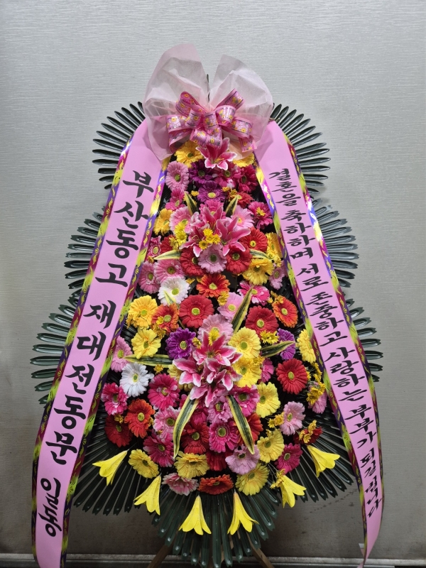 ȥ 3ȭȯ - (3 ⺻)λ  ο.... ɹ  