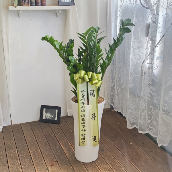 ���� ����ȭ�� - �������� �ɹ�� ���� 