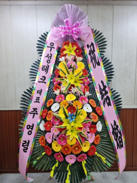 ôº ǰ! - ö119 3ȭȯ ɹ  