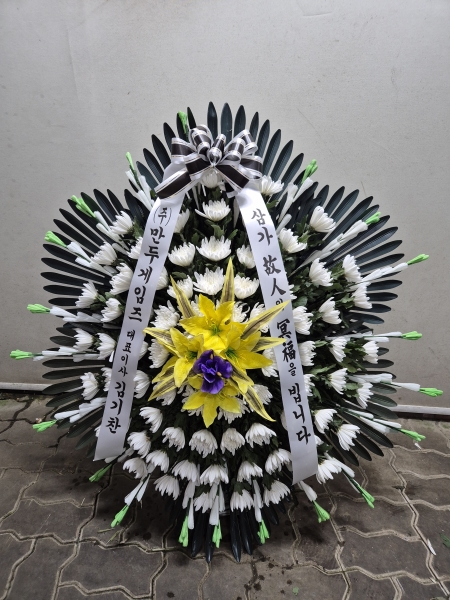 ôº ǰ! - ö119 ٱ ɹ  