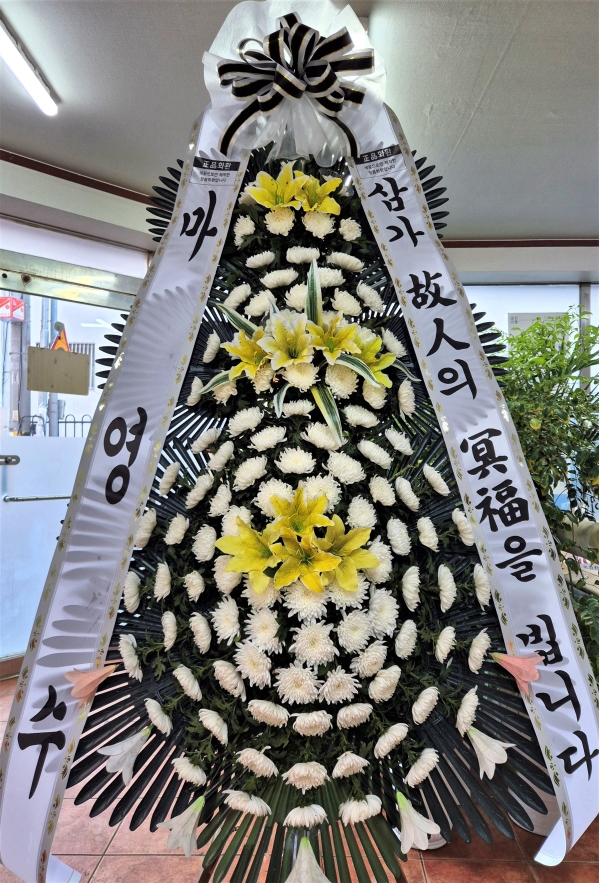 ô  ǰ! - ö119 3ܱ⺻ȭȯ  (Ʈ) ɹ  