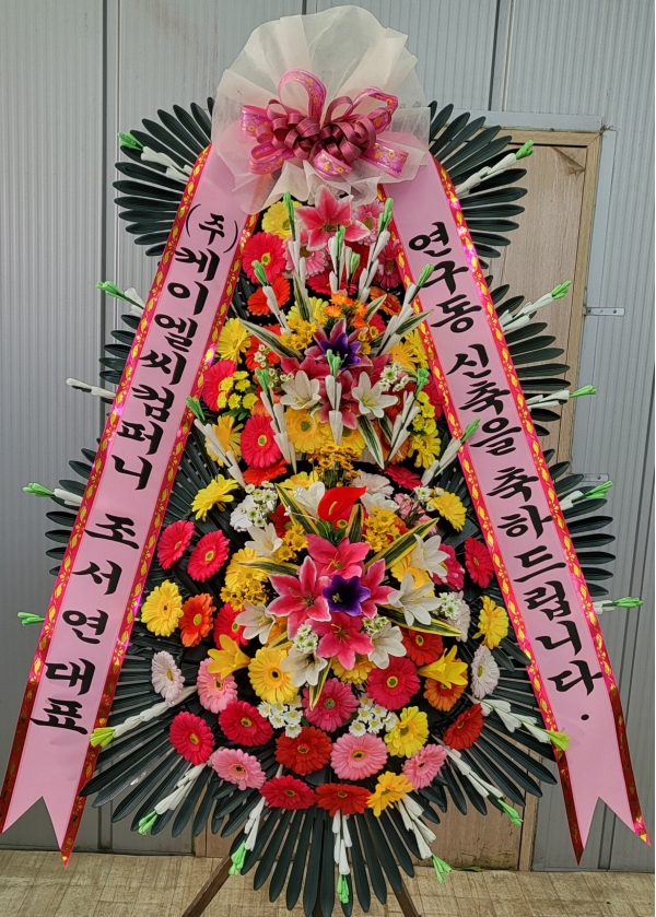 ô  ǰ! - ö119 3ȭȯ ɹ  