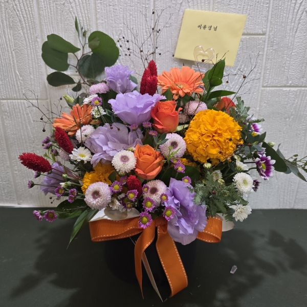 [ ǹ]Fall in love  ź ɹ  