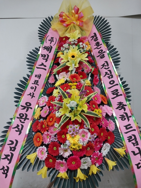 ����3�ܱ⺻ȭȯ