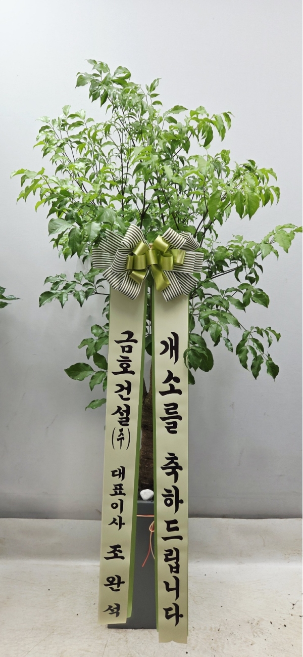 ���� ���� - �ູ�� ����ϴ� �ູ���� �ɹ�� ���� 