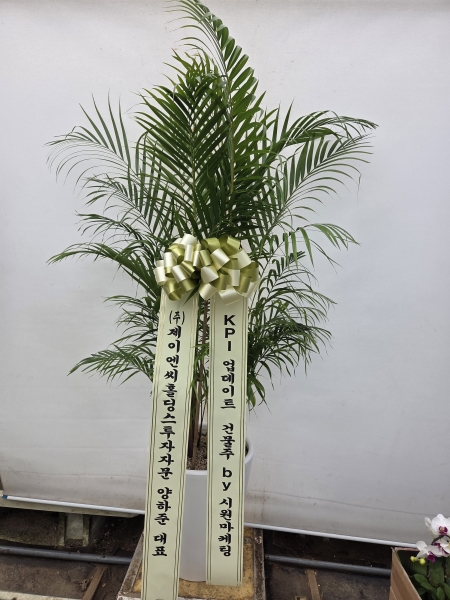 Office & Nature �Ʒ�ī���� (Ư��) �ɹ�� ���� 