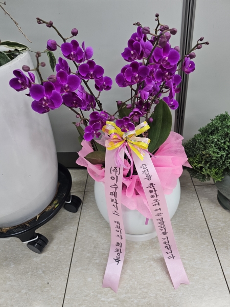 [����]�Ƹ��ٿ��� �ִ� ���� - ���� ȭ���� ��õȫ (��) (ȭ�⺯��) �ɹ�� ���� 