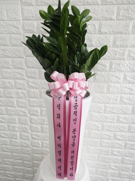 [ȭ�а�����õ] �������� �ɹ�� ���� 