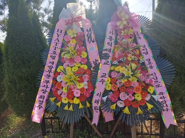 ������ ���� ����3��ȭȯ �ɹ�� ���� 