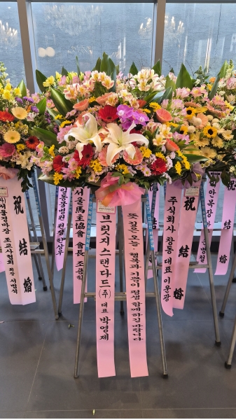 ������ ���� ����3��ȭȯ �ɹ�� ���� 