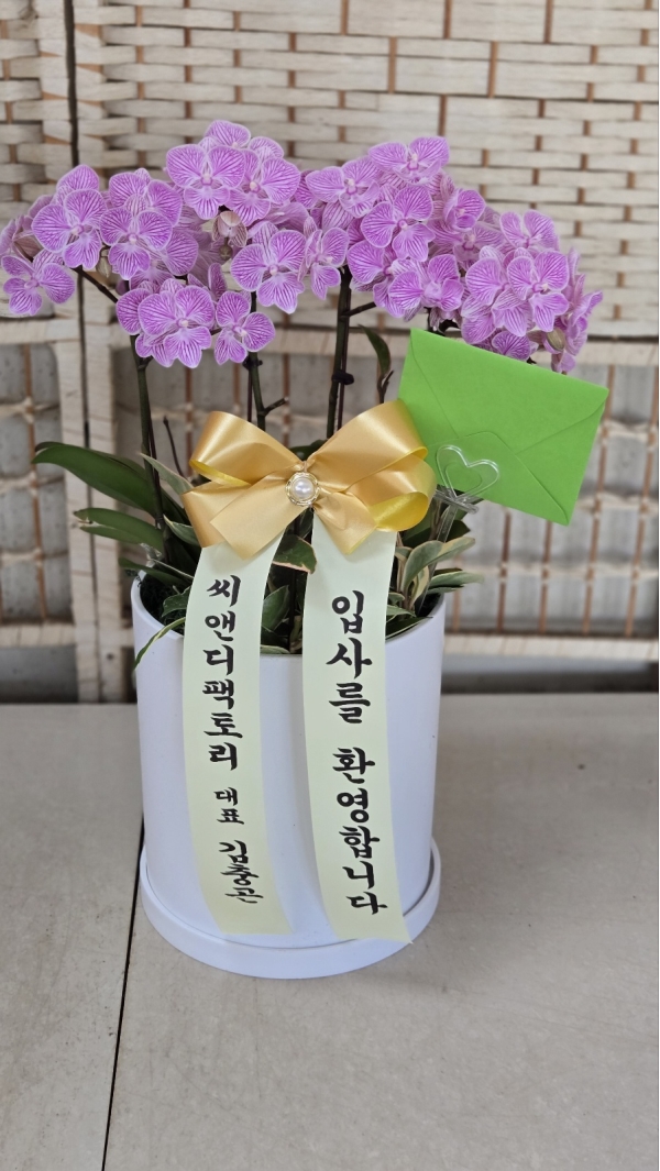 �޽��� �Ǵ� ��Ȱ���� - Smile moon_��Ʋ�� (��) (ȭ�⺯��) �ɹ�� ���� 