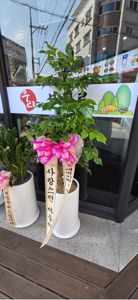 �������� �����ִ� ���׸��� �Ĺ� - �캸��(ȭ�⺯�氡��) �ɹ�� ���� 