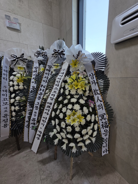 ���� �ֵ��� ���� ����ȭȯ �ɹ�� ���� 