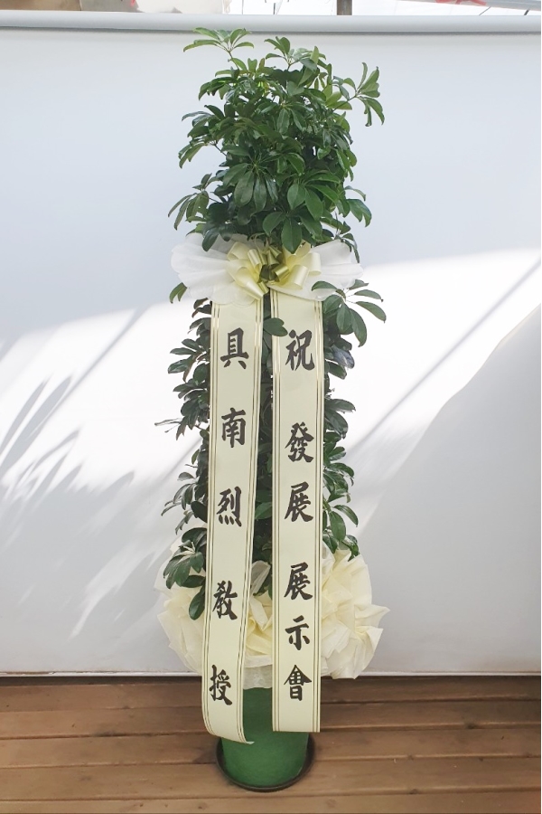 [ȭ�а�����õ] ȫ������� �ɹ�� ���� 