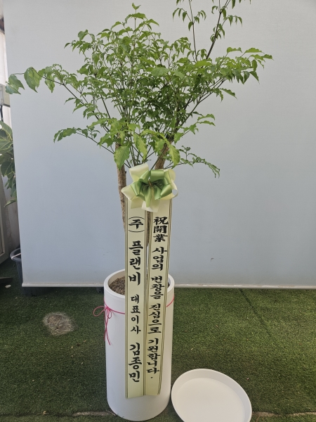 �������ϴ�ǥȭ�� - �ູ���ִ³��� ����Ʈ�� �ɹ�� ���� 