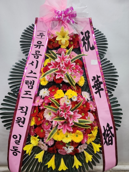 ������ ���� ����3��ȭȯ �ɹ�� ���� 