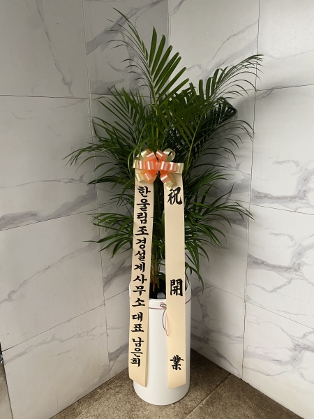 ������ ������ ��¡�ϴ� �Ĺ� - �Ʒ�ī(��) �ɹ�� ���� 