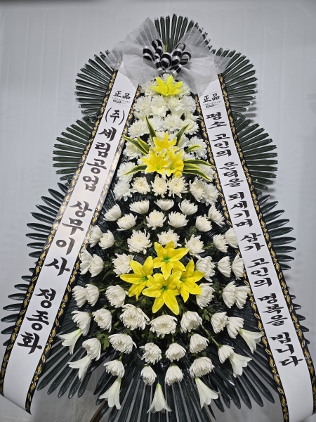 ���� �ֵ��� ���� ����ȭȯ �ɹ�� ���� 