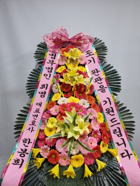 ������ ���� ����3��ȭȯ �ɹ�� ���� 