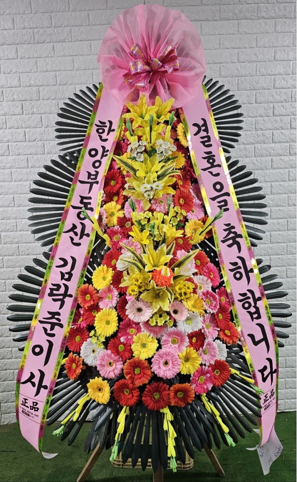 ������ ���� ����3��ȭȯ �ɹ�� ���� 