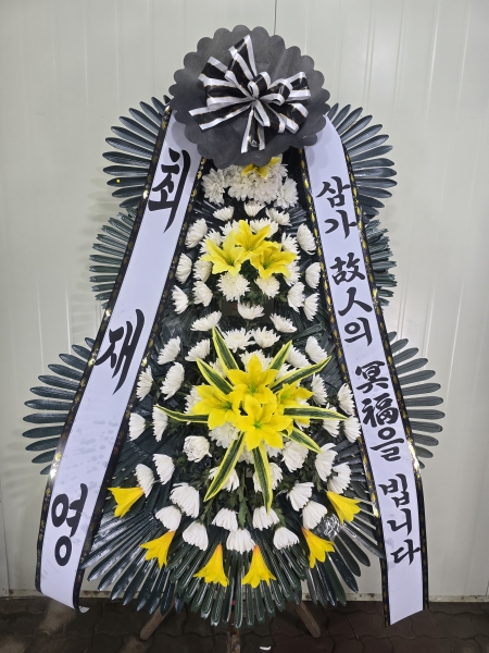 ������ ���� ���� 3�� ȭȯ �ɹ�� ���� 