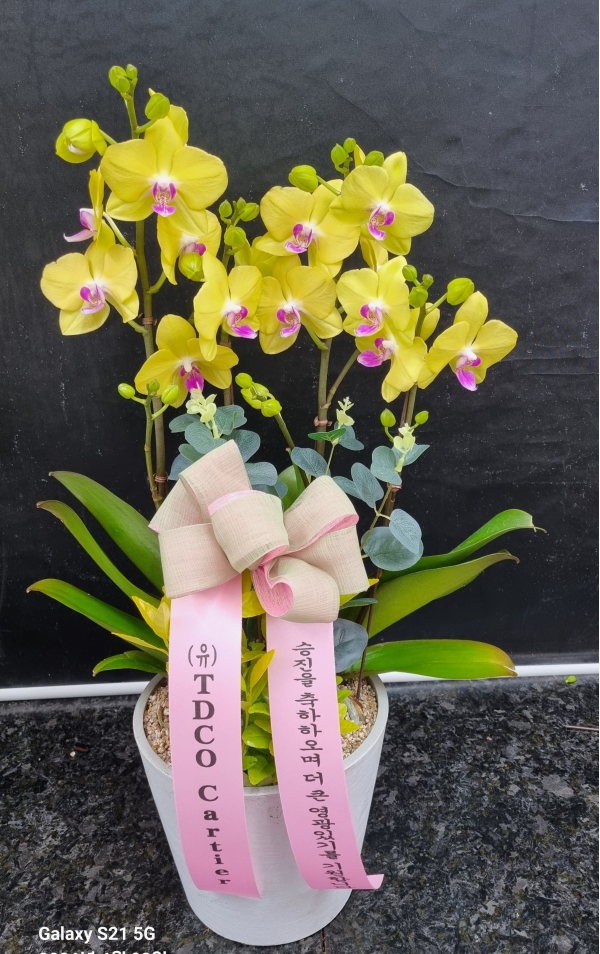 ������ ������ ���, ������ ������ ���� ���� ��� ȣ���� �ɹ�� ���� 