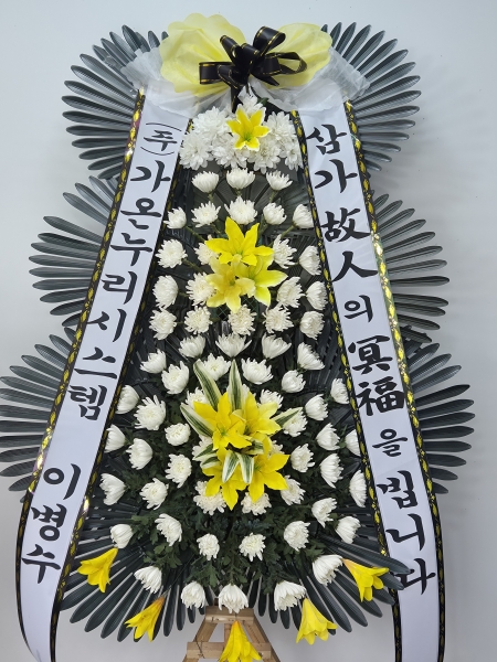 ���� �ֵ��� ���� ����ȭȯ �ɹ�� ���� 