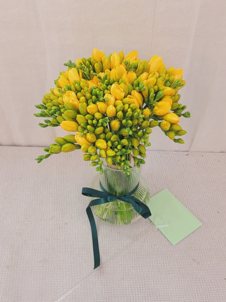 �������� - ��� ��� �ɹ�� ���� 