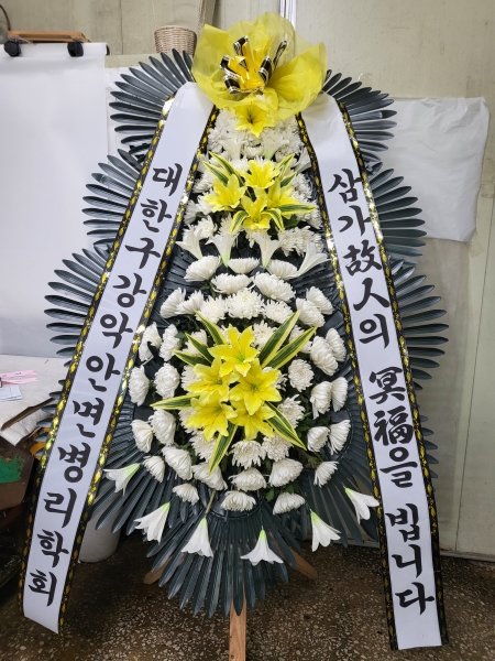 ���� �ֵ��� ���� ����ȭȯ �ɹ�� ���� 