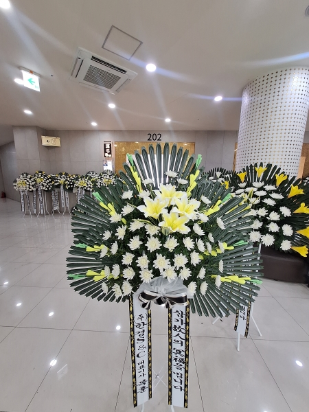 ������ ���� ���� 3�� ȭȯ �ɹ�� ���� 