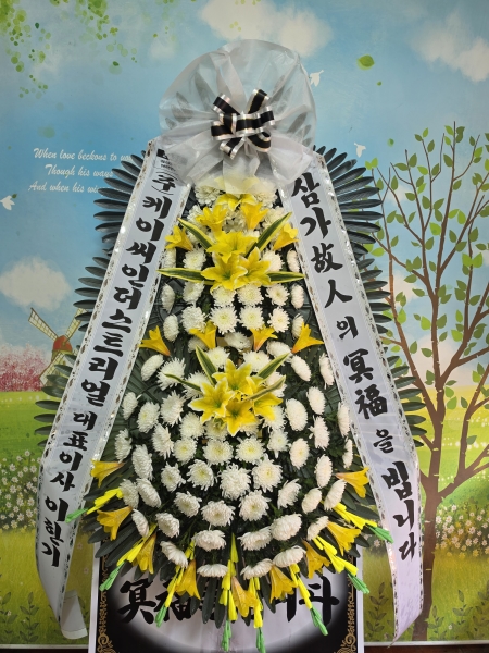 ���� �ֵ��� ���� ����ȭȯ �ɹ�� ���� 