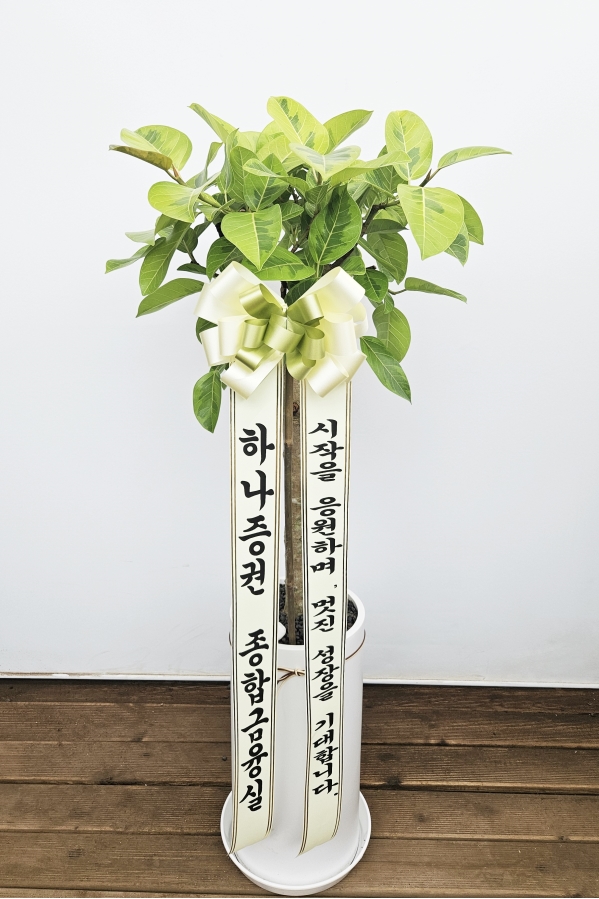 Office & nature �𰥰�������(��) (ȭ�⺯��) �ɹ�� ���� 